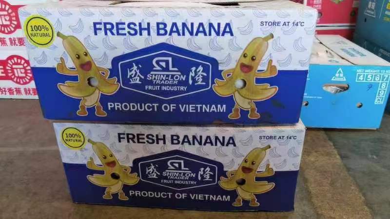 郑州市柠檬包装设计